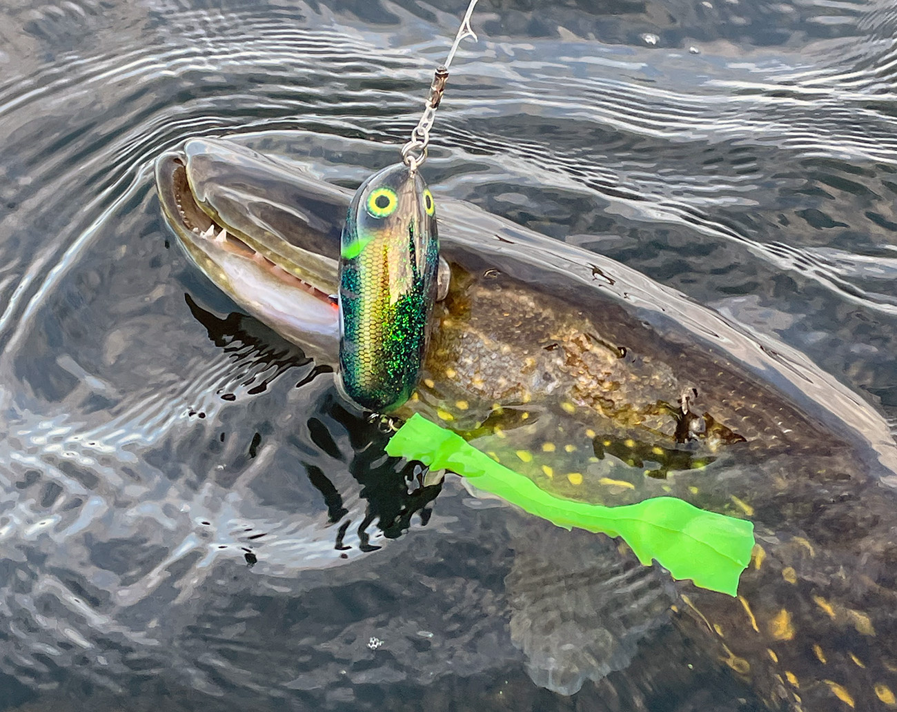 Esox Inc Paddletail